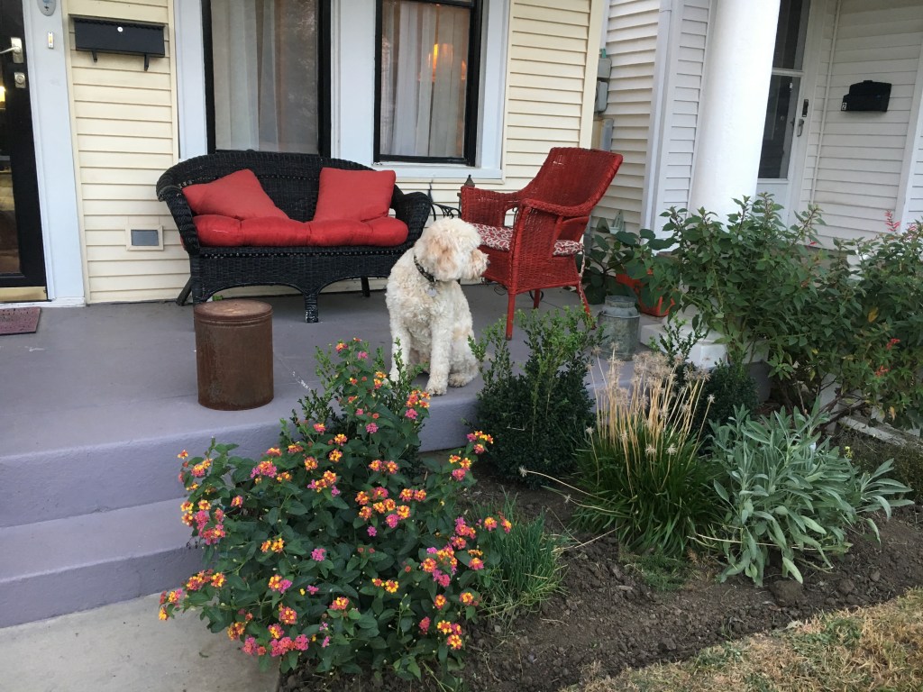 How long will this&nbsp;last?